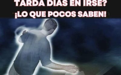 ¿Qué ocurre después de la muerte? Lo que dicen algunos estudios científicos