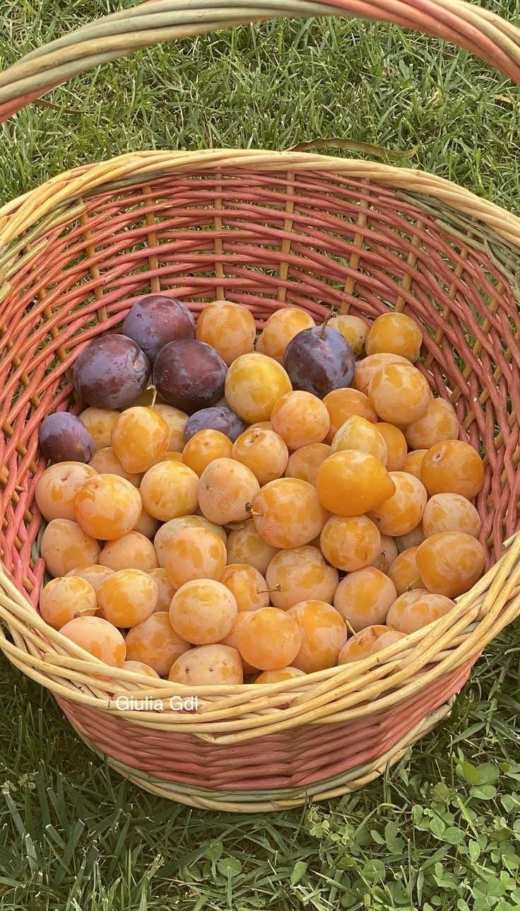 Viene mucha abundancia a tu casa… Escribe AMÉN🙏 y comparte