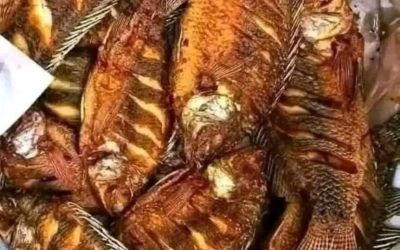 Qué sucede cuando comemos pescado ¡Te sorprenderá!