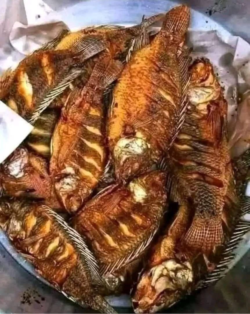 Qué sucede cuando comemos pescado ¡Te sorprenderá!