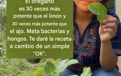 El orégano es 30 veces más potente que el limón y 30 veces más potente que el ajo. Mata bacterias y hongos. Te doy la receta a cambio de un simple “OK”.