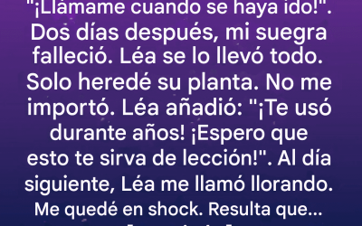 Heredé sólo una planta vieja; la verdad que contenía lo cambió todo.