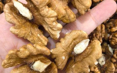 Los médicos revelan que comer frutos secos provoca