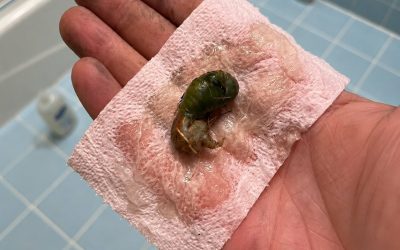 Encontramos esto en el baño y nadie lograba identificarlo… hasta que descubrimos de qué se trataba realmente