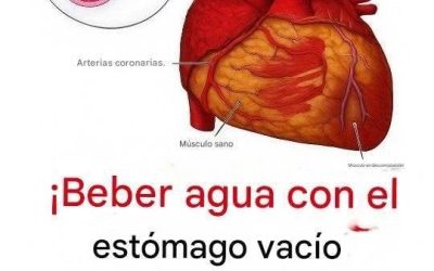 ¿Sabías que beber agua con el estómago vacío podría ser… ver más👇
