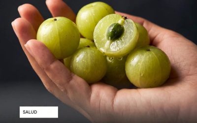 En el mundo de la nutrición, pocos alimentos destacan tanto como el amla. También conocido como grosella india, este pequeño fruto verde y ácido ha sido apreciado en la medicina tradicional ayurvédica durante siglos, y la ciencia moderna ahora está descubriendo el porqué.