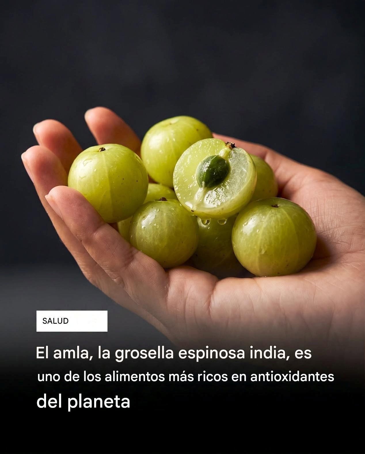 En el mundo de la nutrición, pocos alimentos destacan tanto como el amla. También conocido como grosella india, este pequeño fruto verde y ácido ha sido apreciado en la medicina tradicional ayurvédica durante siglos, y la ciencia moderna ahora está descubriendo el porqué.
