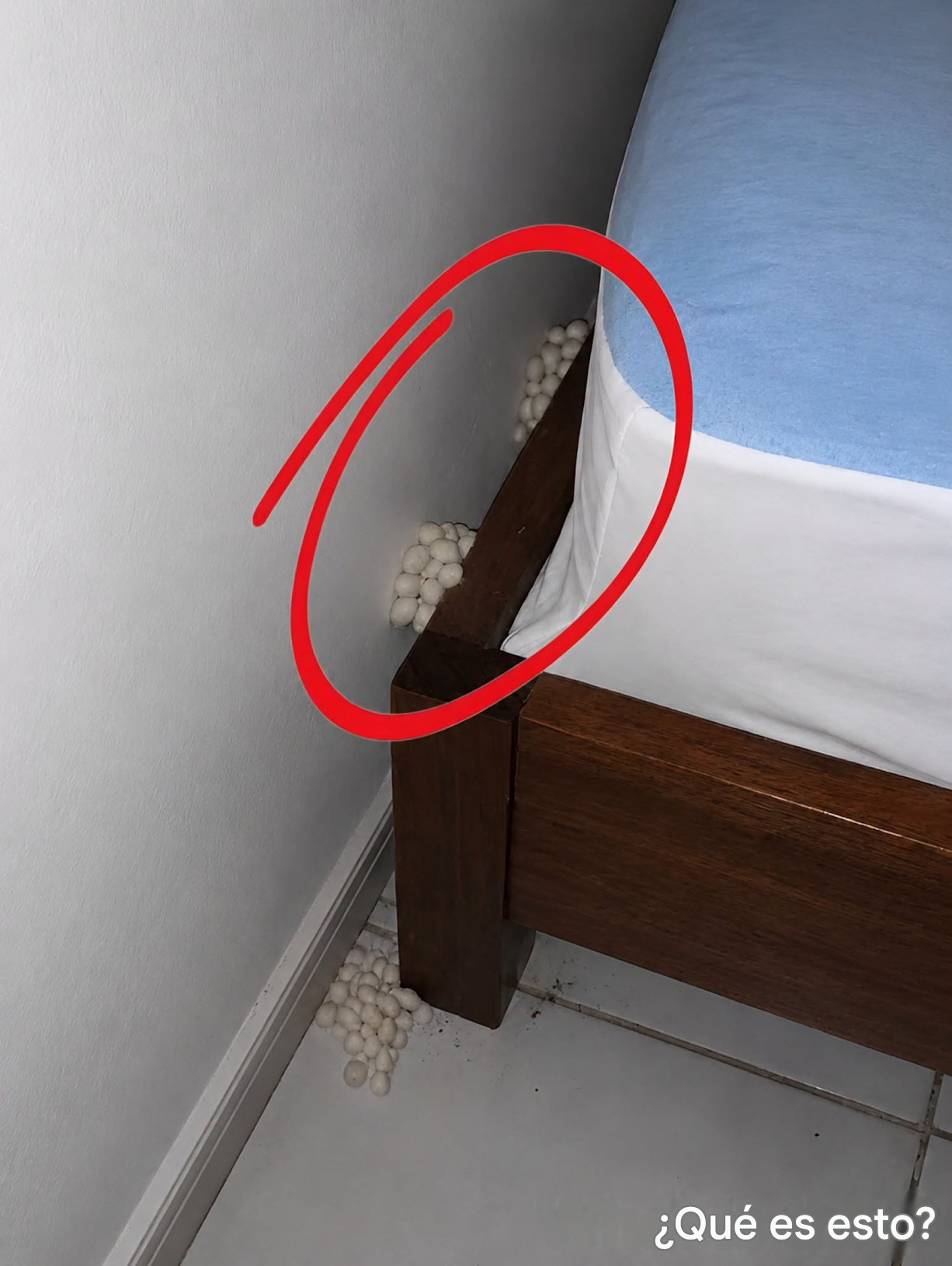 Llegué A Casa Agotada Esperando Una Noche Tranquila, Pero Un Detalle Me Dijo Que Algo Estaba Mal