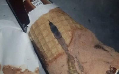 Hoy, mi hija abrió su helado de chocolate favorito, el mismo que come casi todos los días después de la escuela. Todo estaba como siempre: un cono crujiente, un aroma dulce, una suave capa de chocolate encima. Pero unos segundos después, la oí decir sorprendida: “¡Mamá, mira qué es esto!”. Me acerqué y vi algo extraño y oscuro dentro, como un trozo de envoltorio o caramelo. Al principio, pensamos que era solo un defecto, luego que tal vez se había metido un trozo de chocolate. Pero mi hija, siempre curiosa, decidió rebuscar con cuidado con una cuchara. Un momento después, gritó. Dentro, justo debajo del chocolate, vimos…