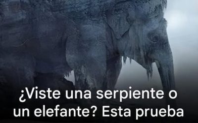 ¿Qué viste a primera vista? ¡El 97% de las personas vio una serpiente! ¡Descubre si tu vejez será amarga o dulce!