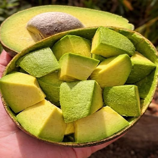 No Lances a la Basura la Parte mas Saludable del Aguacate: La Semilla