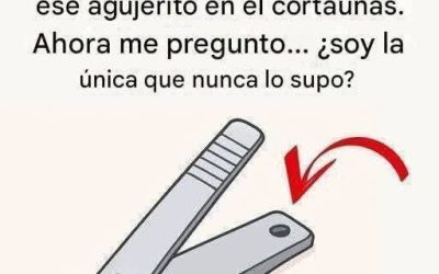 El Secreto Oculto del Agujero del Cortaúñas: 3 Usos Inesperados