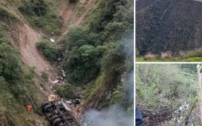 Hace 2 minutos, acaba de fall…ver más