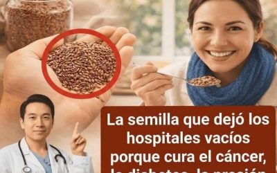 ESTAS SEMILLAS DESTRUYE HASTA LA ENFERMEDAD MÁS MORTÍFERA