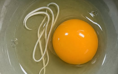 Esta mañana me desperté y decidí preparar huevos fritos.