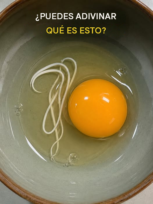 Esta mañana me desperté y decidí preparar huevos fritos.
