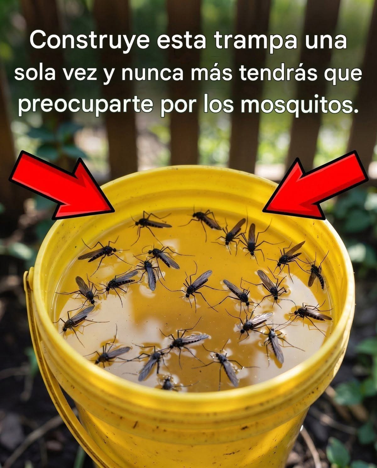 ¿Con hacer esta trampa una sola vez, no tendrás que volver a preocuparte por los mosquitos?