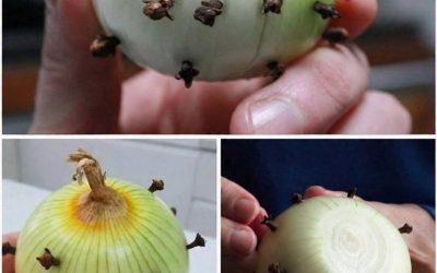 ¿Por qué se clavan clavos de olor en una cebolla? El truco de cocina tradicional que aún funciona hoy en día… ⬇️Ver más en el primer comentario⬇️