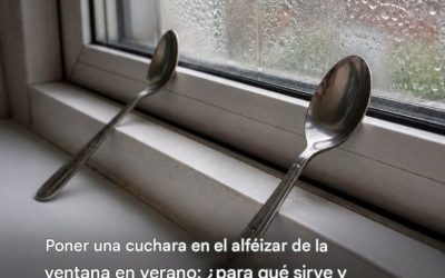 Ola de calor: 12 consejosmantener tu casa fresca…