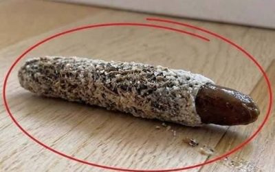 Encontré esto en el suelo cerca de la puerta de mi habitación… Nadie en mi casa sabe de dónde salió y, sinceramente, nunca había visto nada igual. ¿Qué crees que es? Consulta el primer comentario para ver la respuesta.