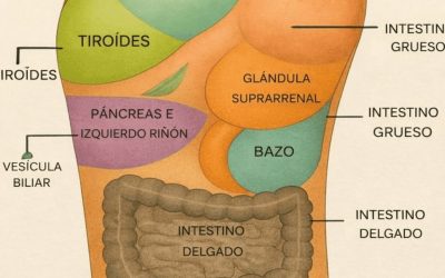 ¿Por qué las personas mayores se ponen aceite en la planta de los pies antes de dormir? El secreto que desconcertó a los médicos.