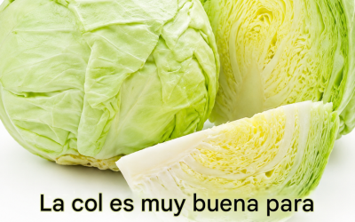 4 tipos de personas que deberían evitar comer repollo