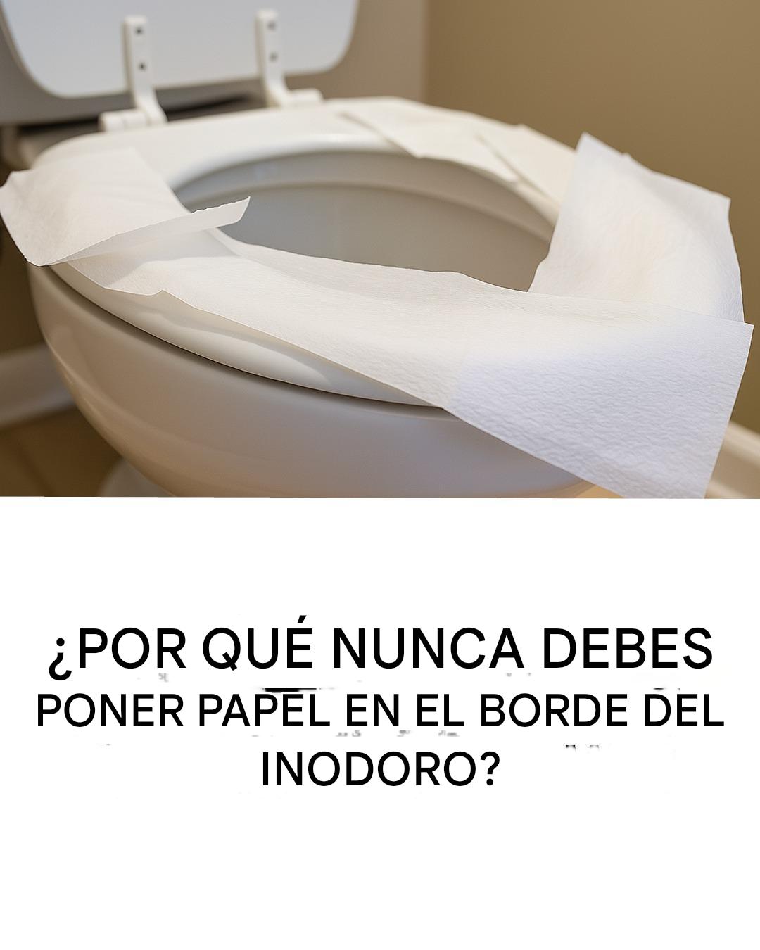 Descubra por qué no debe colocar papel higiénico en el asiento del inodoro: una práctica común que puede aumentar el riesgo de gérmenes y bacterias en lugar de prevenirlo.
